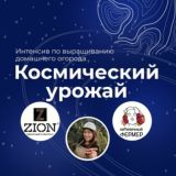 Чат интенсива "Космический урожай"