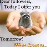 Dear followers