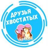 Друзья Хвостатых