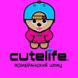 Poms62.ru