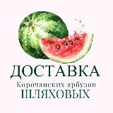 Доставка Корочанских арбузов Шляховых в г.Белгород 🍉