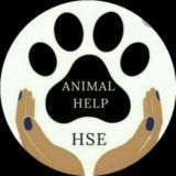 🐾ANIMAL HELP:-️