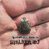 stalker_dj авторские миксы, сборники, dj сэты.