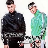 GAYAZOVS BROTHERS — FANDOM