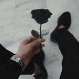 The Best Wallpapers