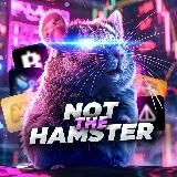 Not The Hamster 🐹