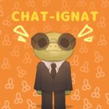 ignat chat 🐸