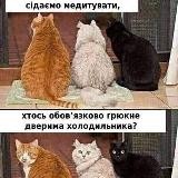 Тут будуть котики. Та інше.