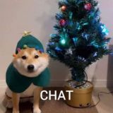 me_irl