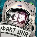 Факт дня