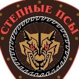 MFC СТЕПНЫЕ ПСЫ