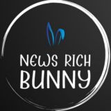 News Rich Bunny