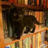 книжная сторона телеграмма💗
