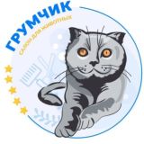 Красивая стрижка собак и кошек. Лицензированная школа Груминга. Ростов-на-Дону. ГрумЧик