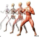 ❗ЛФК ФИТНЕС ДИЕТОЛОГИЯ РЕАБИЛИТАЦИЯ МАНУАЛЬНАЯ ТЕРАПИЯ БИОХИМИЯ