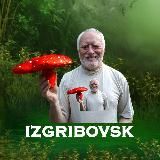 Изгрибовск 🍄