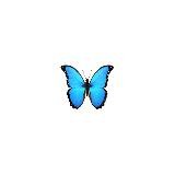 ButterflyFilms - семейные фильмы и сериалы