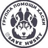 SAVE_HUSKY