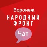 Народный фронт 36 Chat