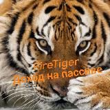 𝐀𝐧𝐚𝐬𝐭𝐚𝐬𝐢𝐲𝐚 все о фрилансе