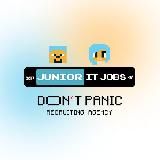 Don't Panic Junior IT Jobs