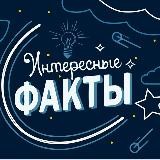 Интересные Факты