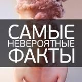 Невороятные факты