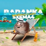 Baranka |Схемы заработка |Сливы