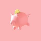 Crypto pig 🐷