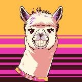 AlpacaMoney