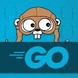 PRO Go