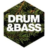 Drum and Bass Archive - FLAC Music