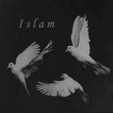 🕊 Ｉｓｌａｍ 🕊