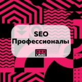 SEO Профессионалы