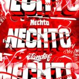 NECHTO shop отзывы