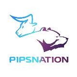 PipsNation Signals