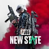 PUBG NEW STATE MOBILE СНГ КОМЬЮНИТИ