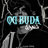 Фанаты OG Buda