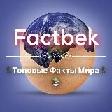 Factbek - Интересные Факты