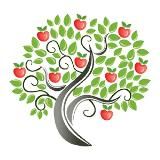 Яблоня | Сорта яблонь | Сад | Плодовые деревья