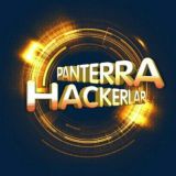 Panterra hackers