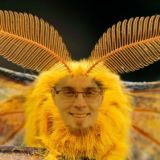 DeepExChat
