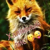 Халявный лис🦊