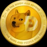 DOGE Tip & Rain