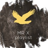 MUSIC OWL