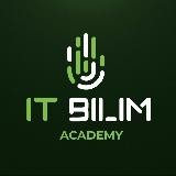 IT-BILIM Academy