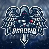 🎮 SHADOW CARTEL