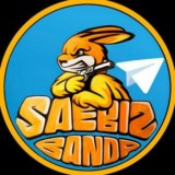 Saebiz Banda Resmi