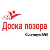 ДОСКА ПОЗОРА