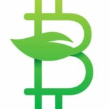 BitGreen (BITG) Russian Channel